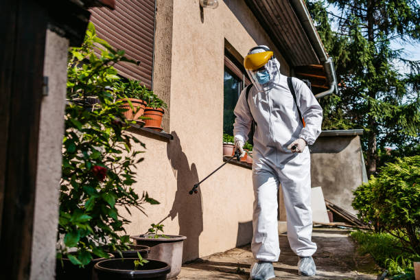 Best Mosquito Control Services  in Long Beach, MS