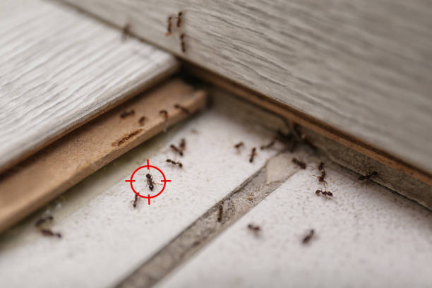 Wildlife Control Services in Long Beach, MS